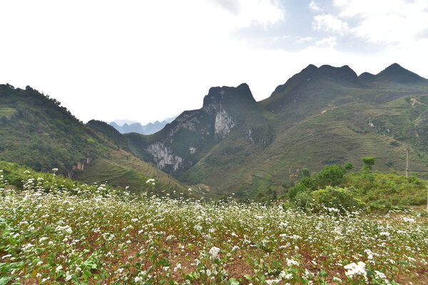 Discover great mountains with terraces, cliffs and life in Ha Giang province, vietnam