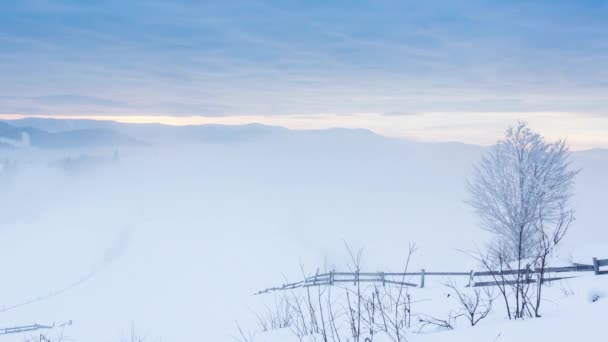 風による雪の吹きで山のピーク。冬の風景。寒い日、雪と. — ストック動画