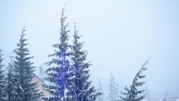 Hermoso paisaje de invierno con árboles cubiertos de nieve. Montañas de invierno. — Vídeos de Stock