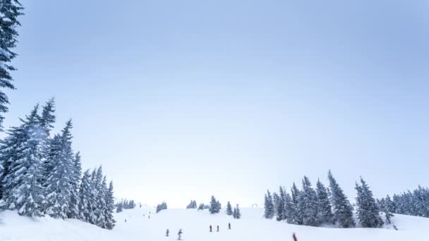 Beau paysage hivernal avec des arbres enneigés. Montagnes d'hiver. — Video