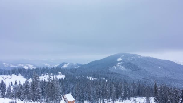 Krásná zimní krajina se zasněženými stromy. Zimní hory. — Stock video
