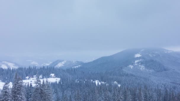 Hermoso paisaje de invierno con árboles cubiertos de nieve. Montañas de invierno. — Vídeos de Stock