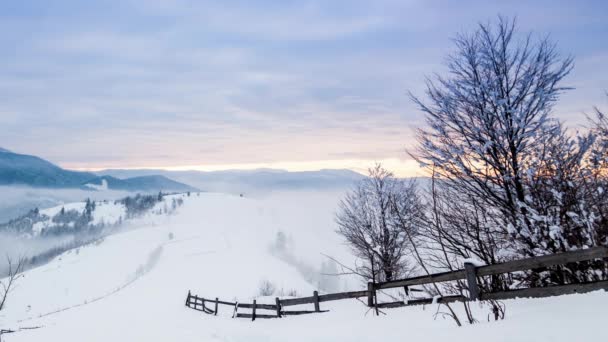 Mountain peak with snow blow by wind. Winter landscape. Cold day, with snow. — Stock Video