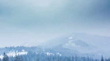Karla kaplı ağaçlarla kaplı güzel bir kış manzarası. Kış dağları.