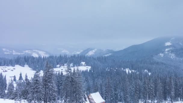 Schöne Winterlandschaft mit schneebedeckten Bäumen. Winterberge. — Stockvideo