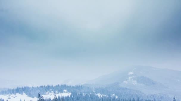 Karla kaplı ağaçlarla kaplı güzel bir kış manzarası. Kış dağları. — Stok video