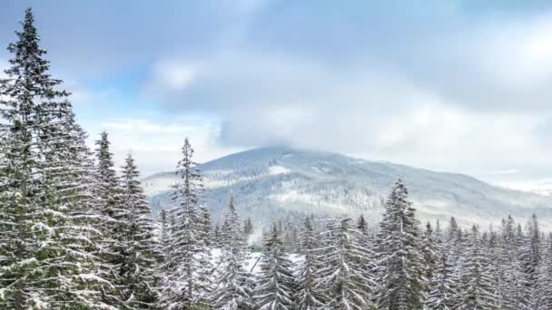 Hermoso paisaje de invierno con árboles cubiertos de nieve. Montañas de invierno. — Vídeos de Stock
