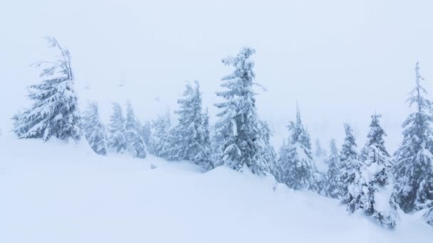 Зимний пейзаж со снежными деревьями. Зимние горы. — стоковое видео