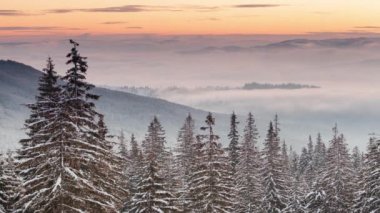 Karla kaplı ağaçlarla kaplı güzel bir kış manzarası. Kış dağları.