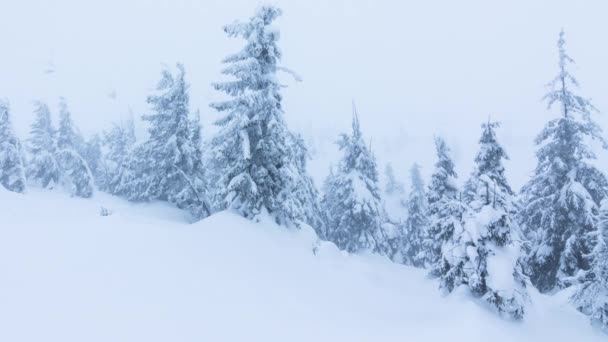Prachtig winterlandschap met besneeuwde bomen. Winterbergen. — Stockvideo