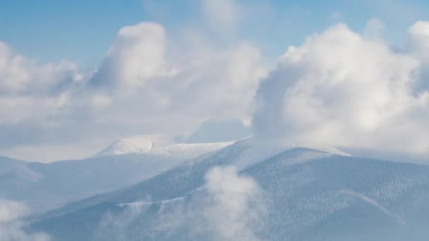 Bela paisagem de inverno com árvores cobertas de neve. Montanhas . — Vídeo de Stock