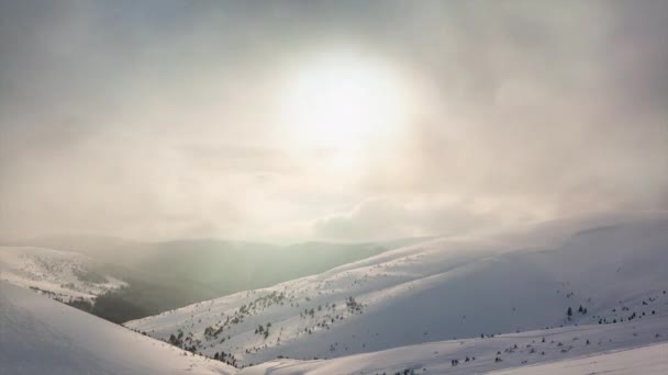 아름다운 겨울 풍경과 눈덮인 나무들. 겨울 산. — 비디오