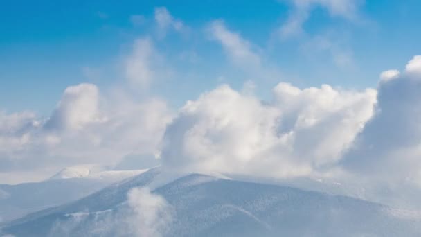 Bela paisagem de inverno com árvores cobertas de neve. Montanhas . — Vídeo de Stock