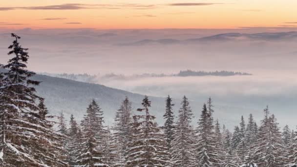Hermoso paisaje de invierno con árboles cubiertos de nieve. Montañas de invierno. — Vídeo de stock