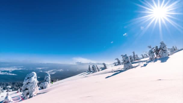 Hermoso paisaje de invierno con árboles cubiertos de nieve. Montañas de invierno. — Vídeos de Stock