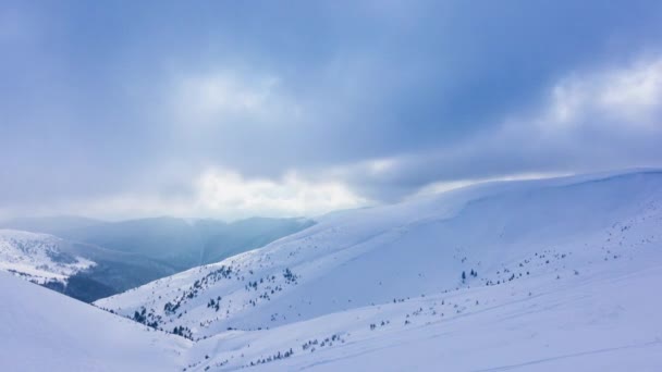 Piękny zimowy krajobraz z pokrytymi śniegiem drzewami. Zimowe góry. — Wideo stockowe