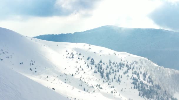 Bela paisagem de inverno com árvores cobertas de neve. Montanhas . — Vídeo de Stock