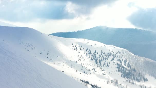 Beau paysage hivernal avec des arbres enneigés. Montagnes d'hiver. — Video