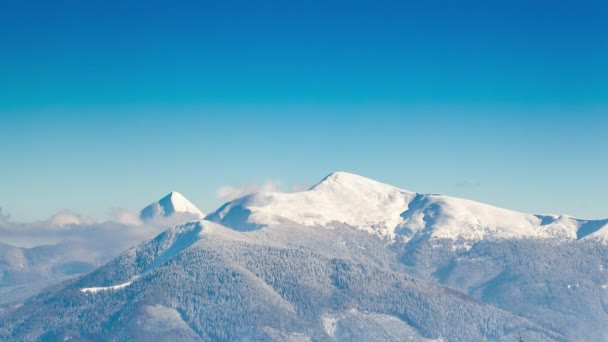 Karla kaplı ağaçlarla kaplı güzel bir kış manzarası. Kış dağları. — Stok video