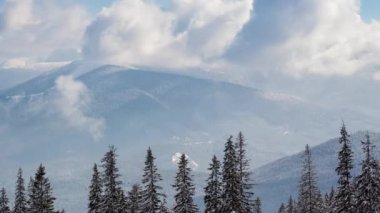 Karla kaplı ağaçlarla kaplı güzel bir kış manzarası. Kış dağları.