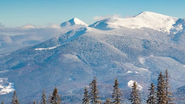 Schöne Winterlandschaft mit schneebedeckten Bäumen. Winterberge. — Stockvideo