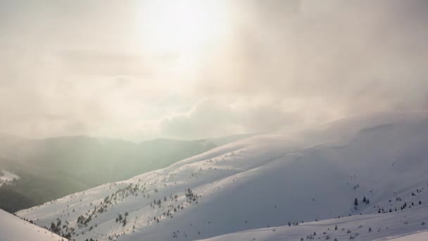 雪に覆われた木々と美しい冬の風景。冬の山. — ストック動画