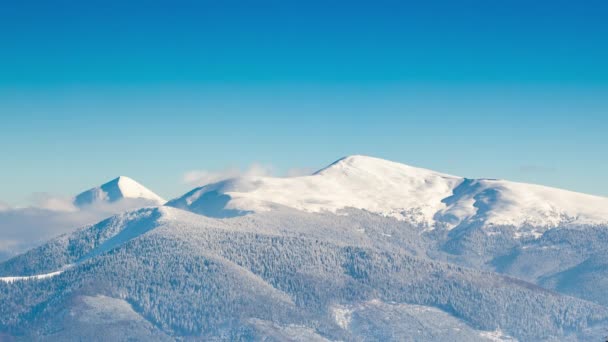 Bela paisagem de inverno com árvores cobertas de neve. Montanhas . — Vídeo de Stock