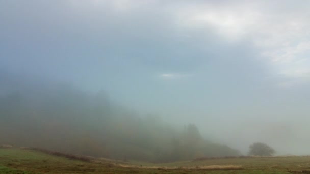 Névoa da manhã sobre o vale entre as montanhas à luz do sol. Nevoeiro e bela natureza das imagens das Montanhas Cárpatas. Ucrânia — Vídeo de Stock