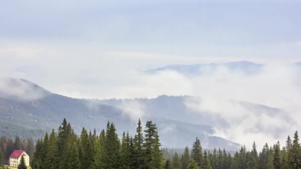 Névoa da manhã sobre o vale entre as montanhas à luz do sol. Nevoeiro e bela natureza das imagens das Montanhas Cárpatas. Ucrânia — Vídeo de Stock