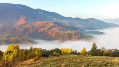 Vadinin üzerinde sabah sisi dağların arasında, gün ışığında. Karpat Dağları 'nın sisi ve güzel doğası. Ukrayna