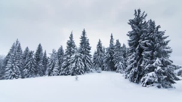 Schöne Winterlandschaft mit schneebedeckten Bäumen. Winterberge. — Stockvideo