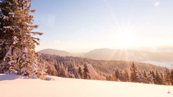 Winterlandschaft. Sonnenaufgang. — Stockvideo