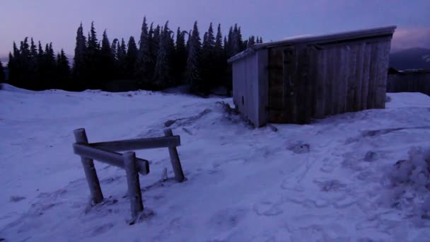 Winter in de bergen. Oekraïne, Karpaten Dragobrat HD — Stockvideo