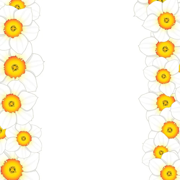 White Daffodil Narcissus Flower Border Vector Illustration — Stock Vector
