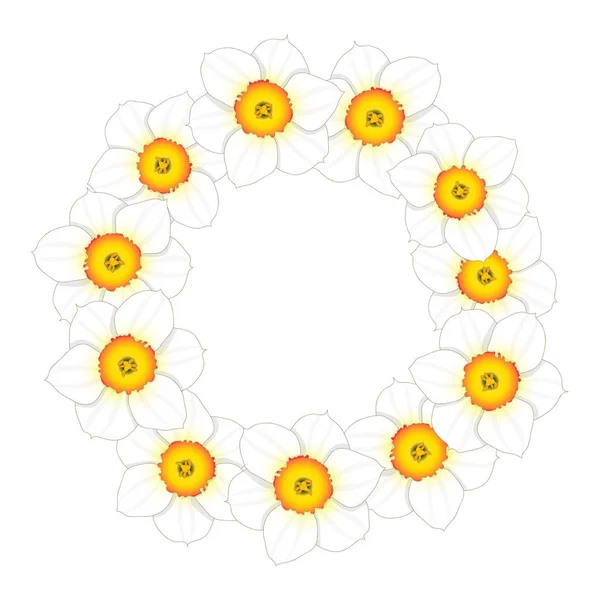 Jonquille Blanche Couronne Fleurs Narcisse Illustration Vectorielle — Image vectorielle
