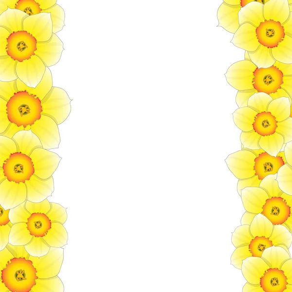Gul Påsklilja Narcissus Blomma Gränsen Vektorillustration — Stock vektor
