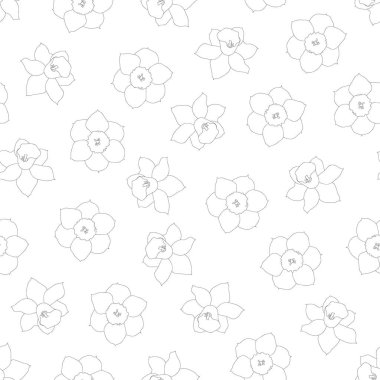 Nergis - Narcissus anahat beyaz arka plan üzerinde sorunsuz. Vektör çizim.