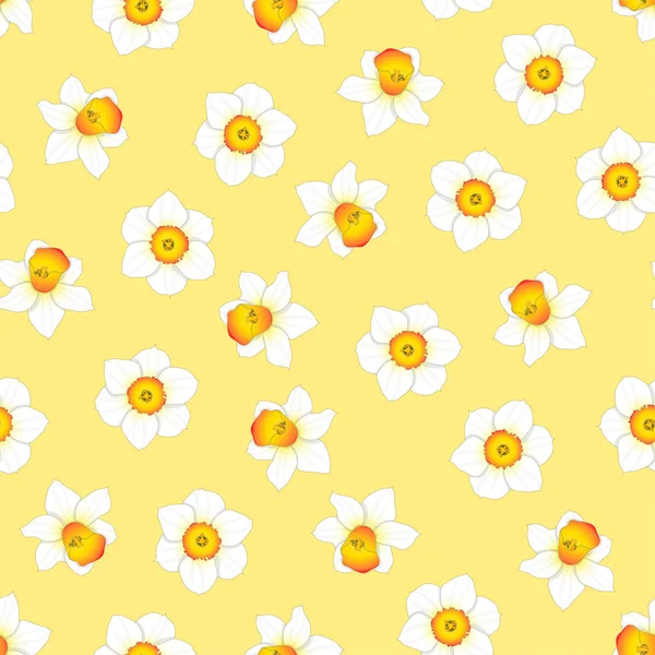 White Daffodil - Narcissus Flower on Yellow Background. Vector Illustration.