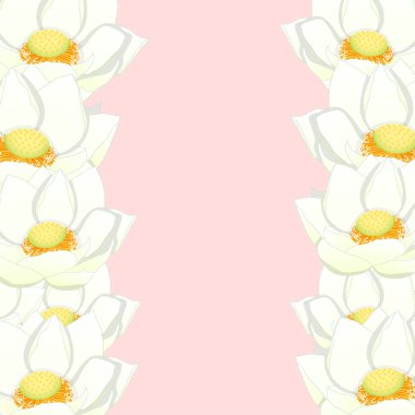Beyaz Hint lotus sınır. (Nelumbo nucifera, kutsal lotus, Hindistan, Mısır fasulye fasulye. Hindistan ve Vietnam Ulusal çiçeği) vektör çizim. 