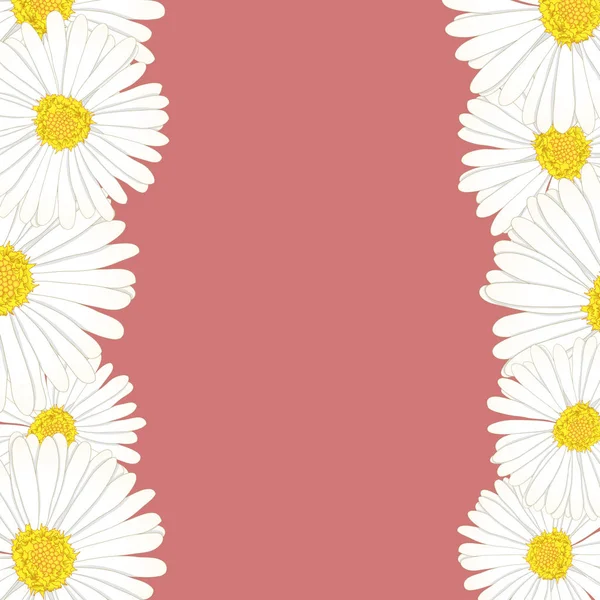 White Aster Daisy Flower Border Ilustración Vectorial — Vector de stock