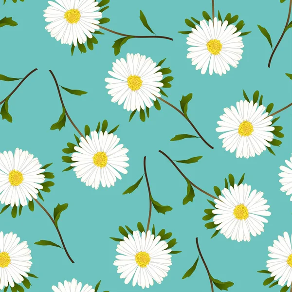 White Aster Daisy Green Teal Background Ilustração Vetorial —  Vetores de Stock