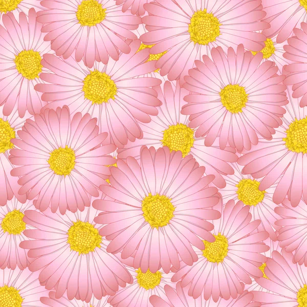 Pink Aster Daisy Flower Sfondo Senza Cuciture Illustrazione Vettoriale — Vettoriale Stock