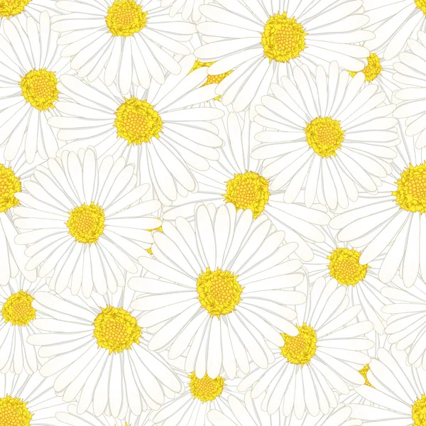 White Aster Daisy Flower Seamless Background Inglés Ilustración Vectorial — Vector de stock