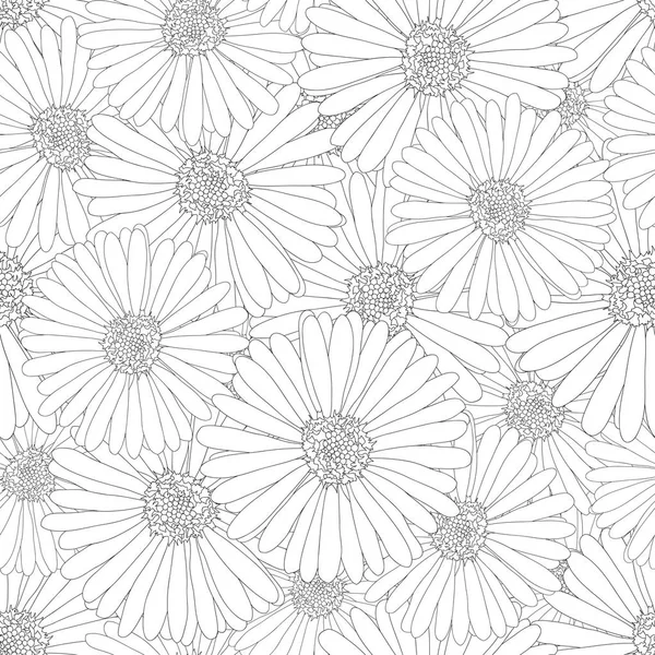 Aster, Daisy Flower Outline Seamless Background. Vector Illustration.