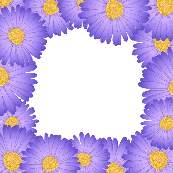 Purple Aster Daisy Flower Border Vector Illustration — Stock Vector