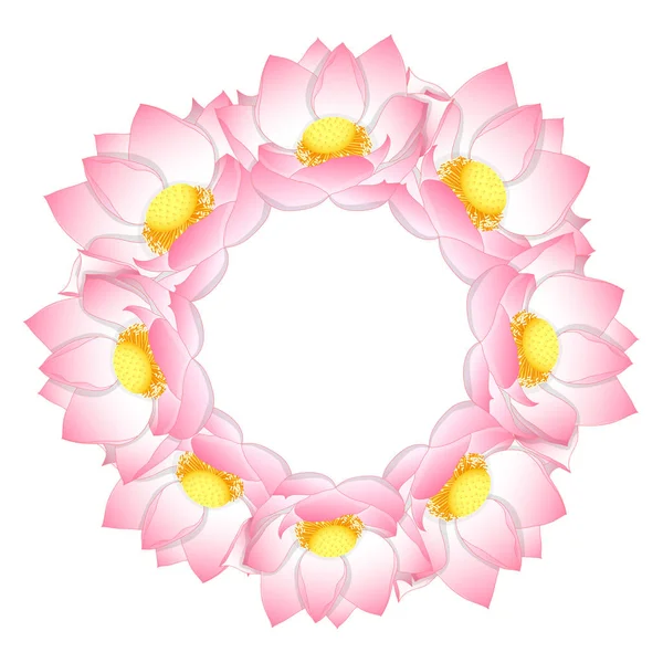Rosa Indisk Lotus Krans Nelumbo Nucifera Heliga Lotus Böna Indien — Stock vektor