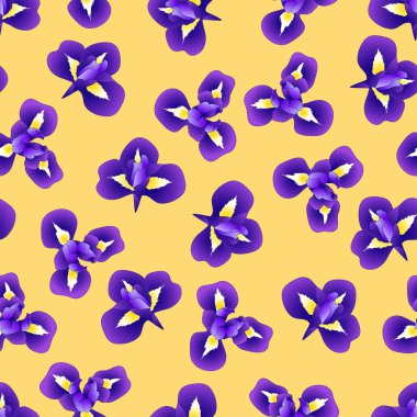 Koyu mavi mor Iris çiçek sarı zemin üzerine. Vektör çizim.