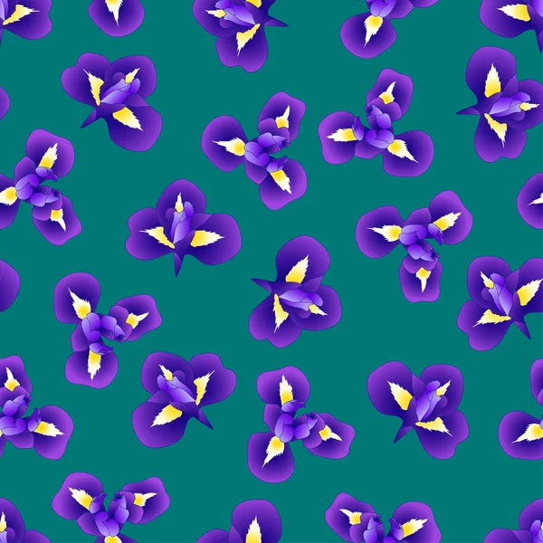 Dunkelblau Lila Irisblüte Auf Grünem Hintergrund Vektorillustration — Stockvektor