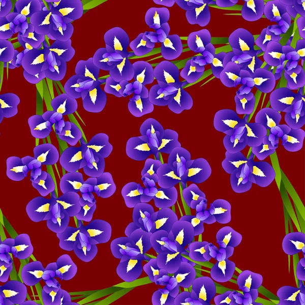 Dark Blue Purple Iris Flower on Red Background. Vector Illustration.