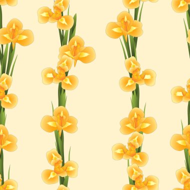 Bej Fildişi zemin üzerine portakal Iris çiçeği. Vektör çizim.